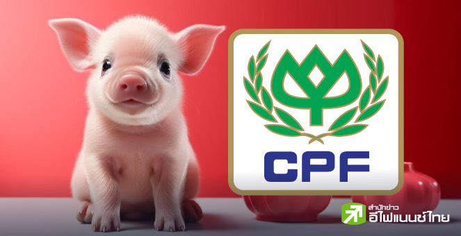 รูป ไขข้อข้องใจ ! ทำไมราคาหมูซิ่ง แต่หุ้น CPF ไม่ค่อยวิ่งตาม